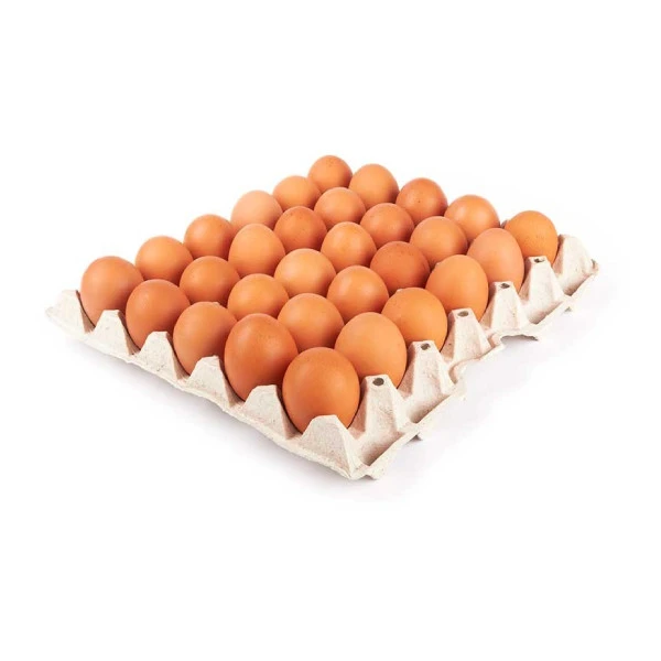 Eggs Tray 30 Eggs